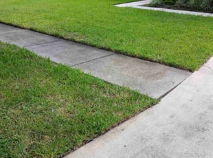 Deborah M.'s lawn maintenance service result
