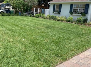 Rae R.'s lawn maintenance service result