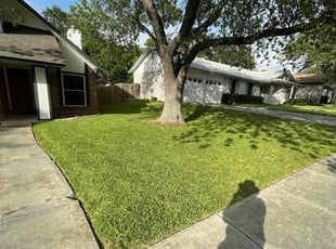 Andy C.'s turf care service result