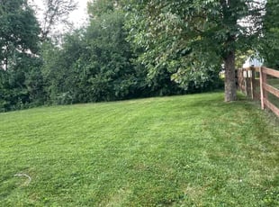 Utona R.'s turf care service result