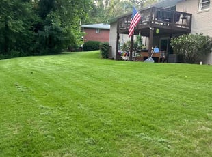 Jonathan P.'s lawn maintenance service result