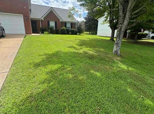 Helene D.'s grass cutting service result