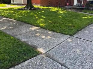Laura M.'s grass cutting service result