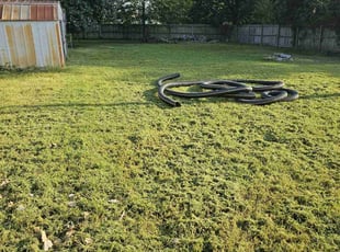 Laura M.'s lawn care service result