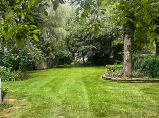 Ashley T.'s lawn care services service result