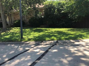 Pamela L.'s grass maintenance service result
