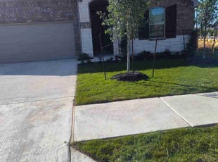 Chad R.'s lawn maintenance service result