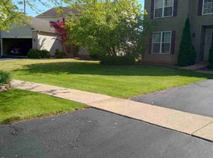 Saurabh B.'s grass maintenance service result
