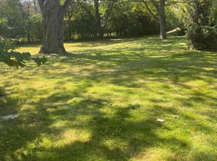 Robert S.'s turf care service result