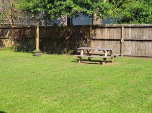 Regine Y.'s grass maintenance service result
