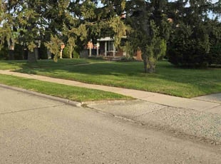 Monica B.'s turf care service result
