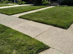 Felicia B.'s grass cutting service result
