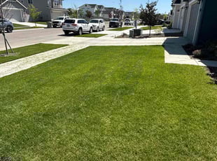 Lee L.'s lawn care services service result
