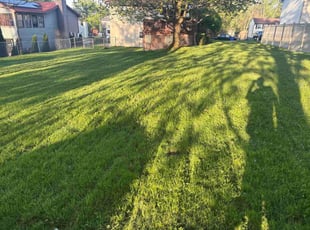 Kaden S.'s turf care service result