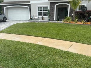 Wayne H.'s lawn service service result