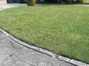 Sheila H.'s lawn service service result