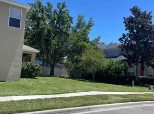 Vickie W.'s turf care service result