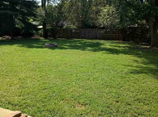 Kimberly S.'s turf maintenance service result