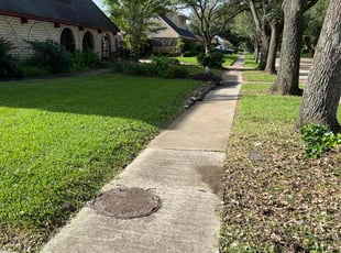 Xavier J.'s lawn care services service result