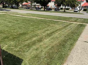 Brady K.'s lawn maintenance service result
