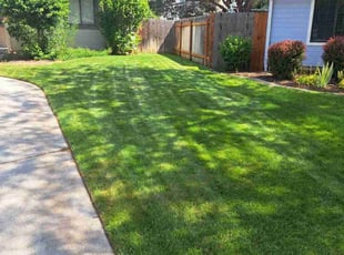 Joseph R.'s lawn service service result