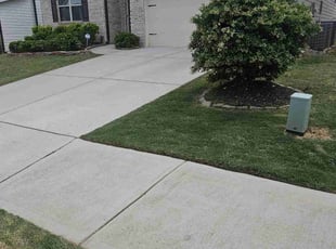 Krystle H.'s lawn care service result