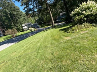 Leroy G.'s turf maintenance service result