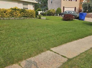 Joshua B.'s lawn service service result
