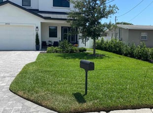 Melissa P.'s lawn service service result