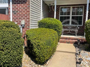 Corrina G.'s Bush Trimming service result