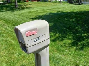 Gail G.'s lawn care service result