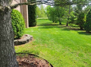 William S.'s lawn care service result