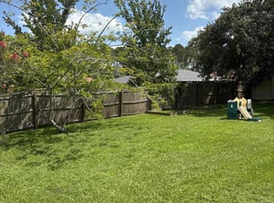 Daniel J.'s turf care service result