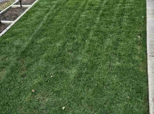 John S.'s lawn care service result