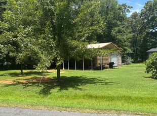 Harolyn J.'s grass maintenance service result