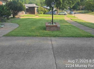 Darren R.'s grass cutting service result