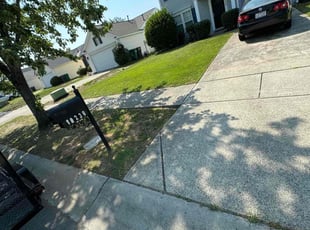 Kathleen C.'s Bush Trimming service result