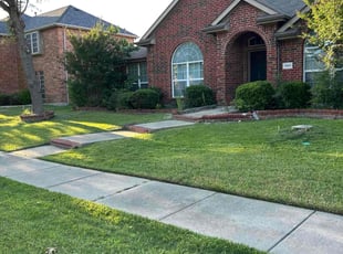 Dorothy B.'s grass cutting service result