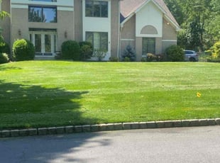 Ed M.'s lawn maintenance service result