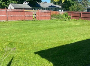 Crystal B.'s lawn service service result