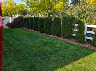 Karen E.'s Bush Trimming service result