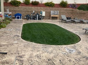 Jimmy D.'s lawn care service result