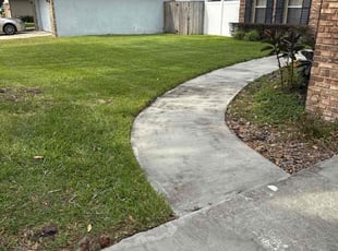 Michele O.'s lawn care services service result