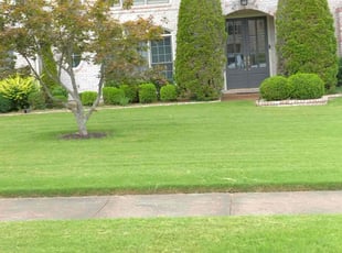 Yuran S.'s lawn care services service result