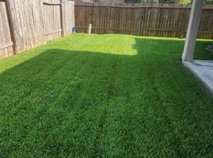 Daphene C.'s grass maintenance service result