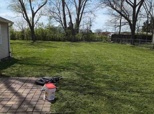 Mrs. K.'s turf care service result