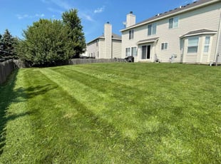 Vicci R.'s lawn maintenance service result