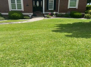 Tangina L.'s lawn care service result