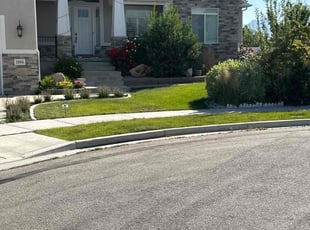 Stevie B.'s landscaping services service result