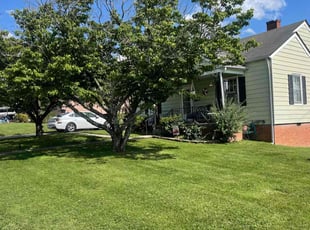 Debby L.'s lawn care service result